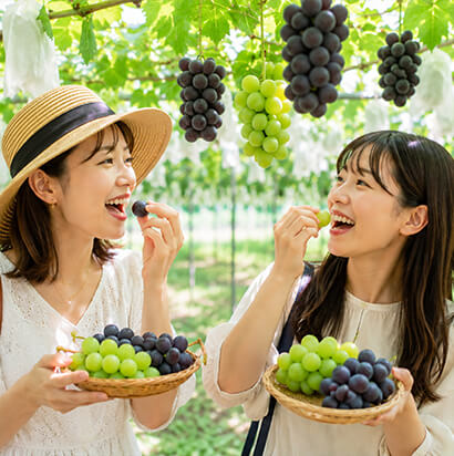 くだもの狩り