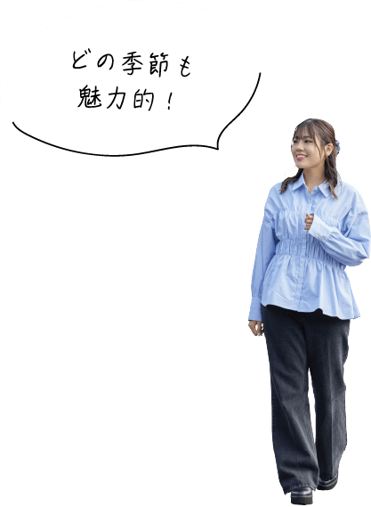 どの季節も魅力的！